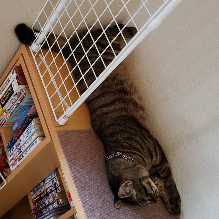 E8331b4b 1fab 4986 bb38 c44692e34df8 1591451865386