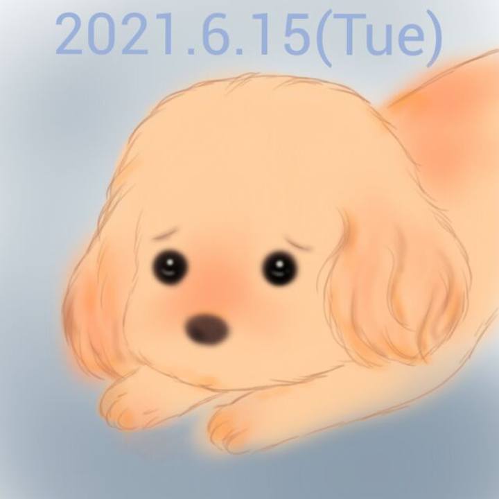 E8334941 2b3d 4153 8352 90f3967c363a 1623753667021