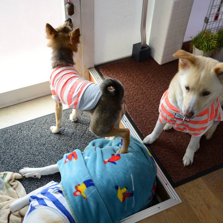 E8334a7f 0538 414a 95a7 149889091df3 1528017565678