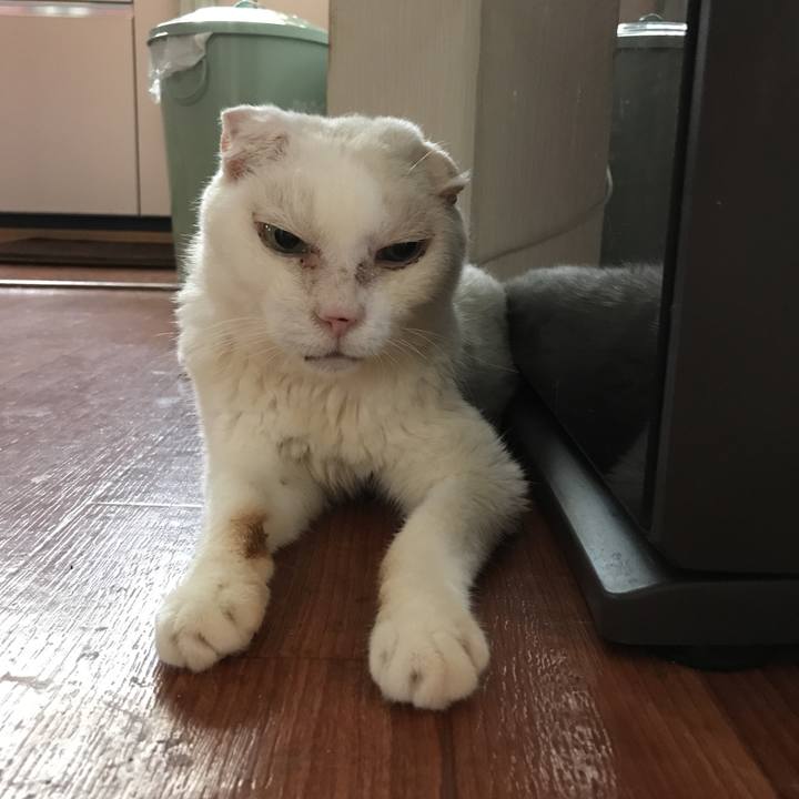 E8338b27 a11e 41f8 b984 8024569c8e30 1535755373932