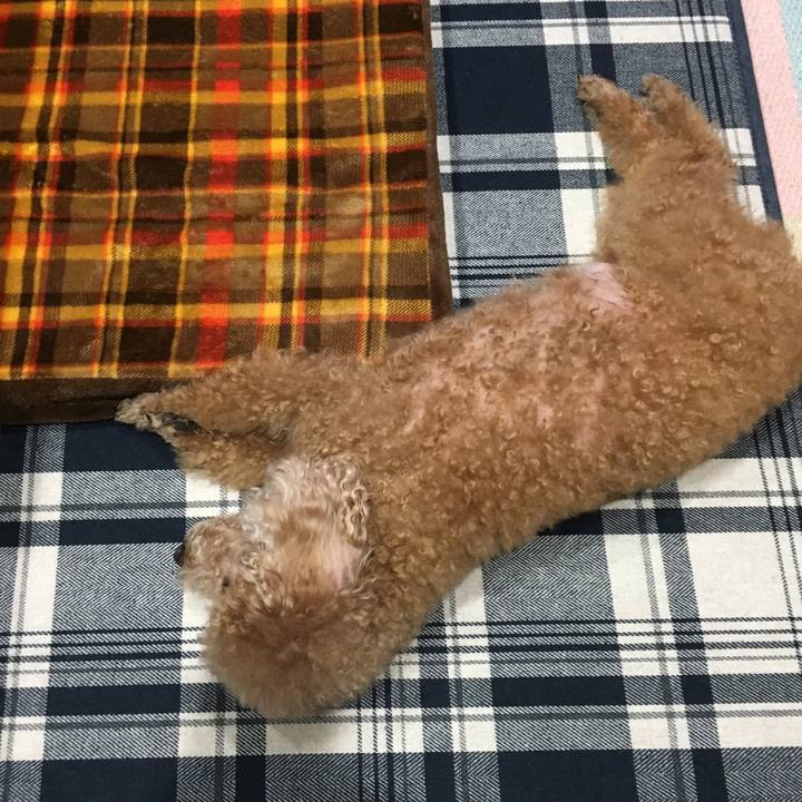 E8339a79 7a64 4915 ad85 86c470194aa0 1508088293830