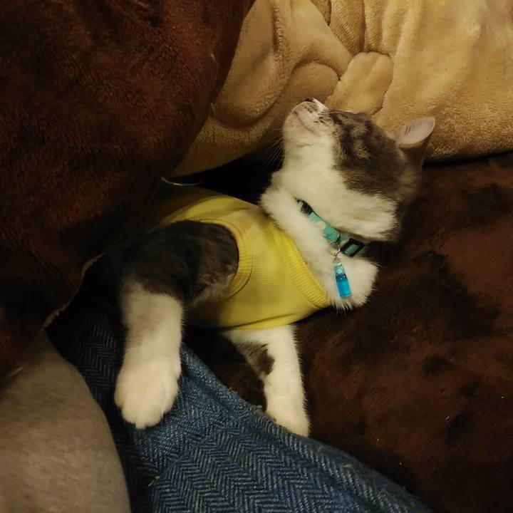 E833a168 31ef 4231 a031 338b86f926f0 1584455664764