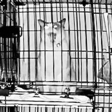 E833cce3 dcb5 4401 b009 7d91d85d9973 1733681193489