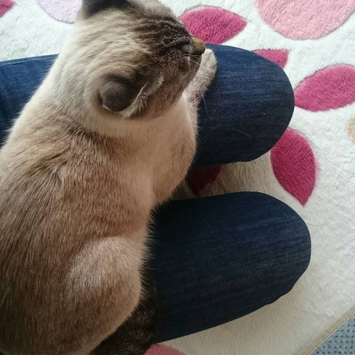 E833fc42 1b4d 4a05 b16b ef0e9773bdab 1510150388067