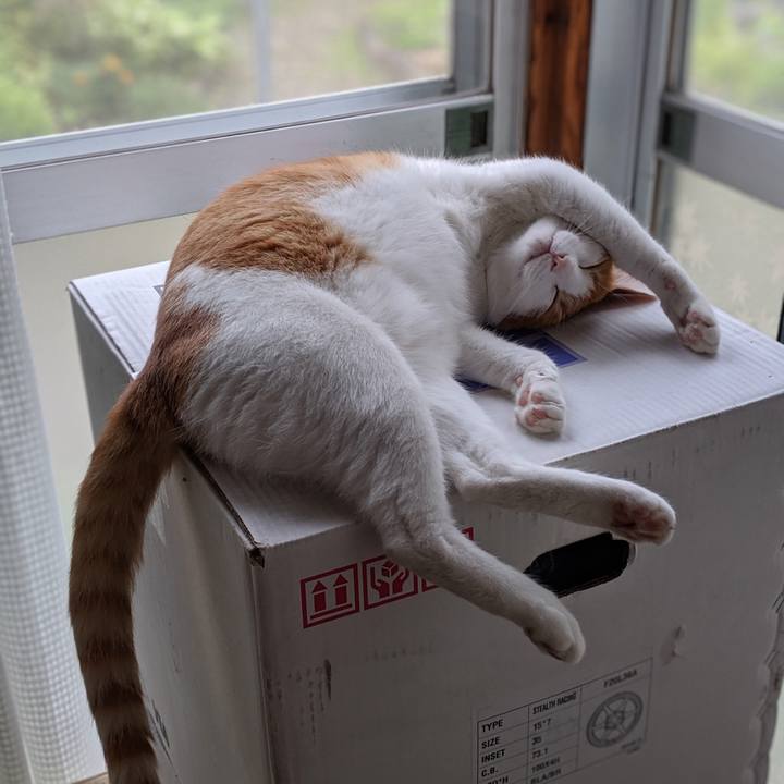 E8344723 18b2 47d4 9281 7ad8e079b32e 1564363098332