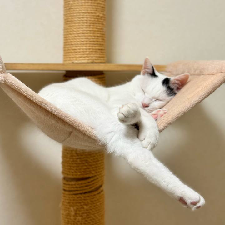 E8345dbd 36a1 4834 a431 45fc94384542 1728517890758