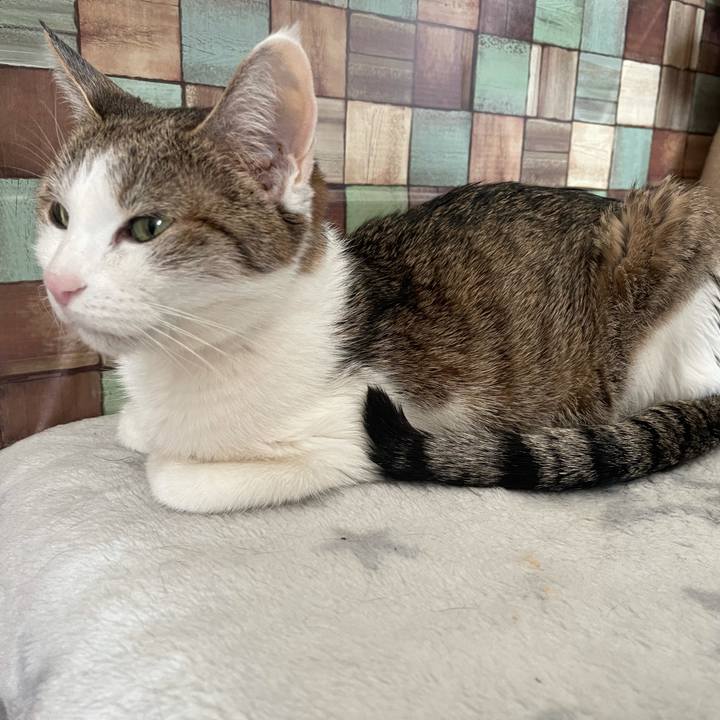 E8347430 43ce 4268 8668 5e03df89caf7 1641344333103