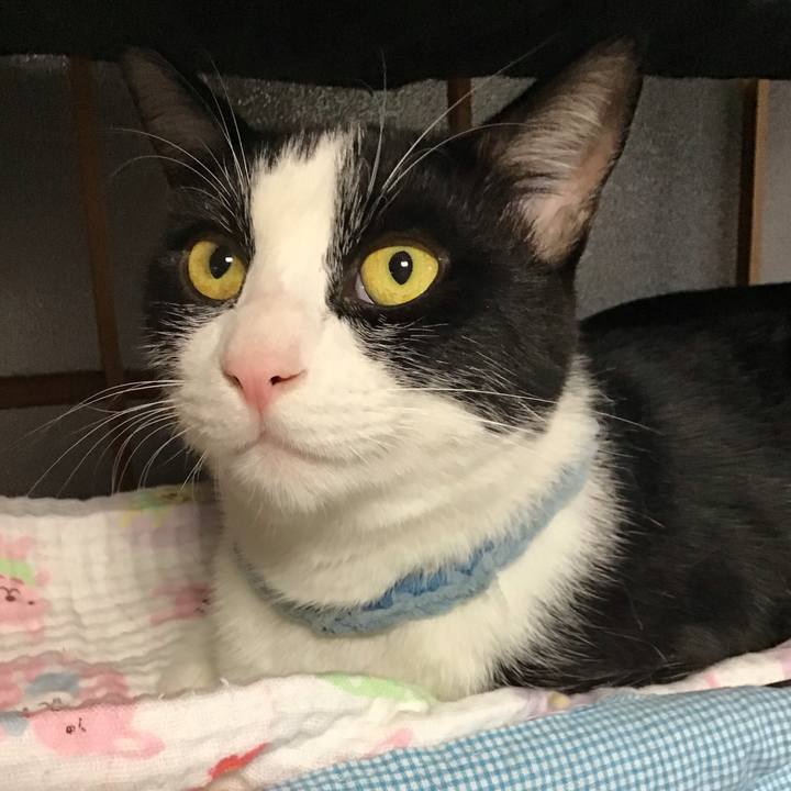 E834ab37 df5f 4103 8d03 71a03d8c6a20 1663404868937