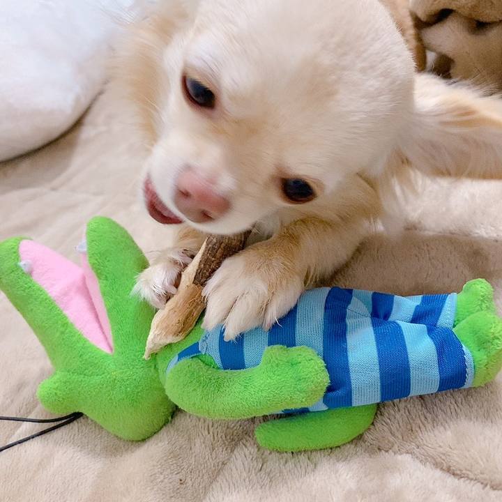 E834c697 2fec 4a4c bdb8 811d87b7912f 1615974180250