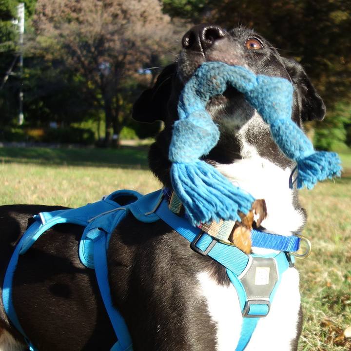 E834c726 658f 4d72 9dbb d945f8d8c6fe 1635573900044