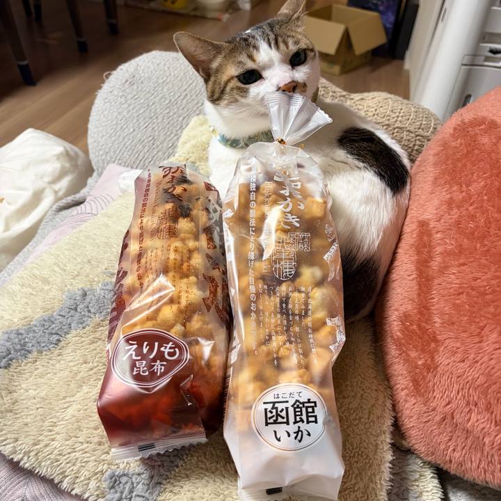 E834ccd6 bab2 42a3 ad27 03fba187bb71 1774004874710