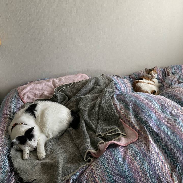 E834d6ce 8a14 4ca4 a893 9d318ebe2822 1638579514418