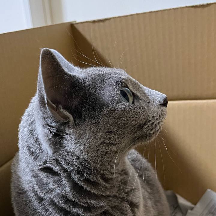 E8352216 0776 4d84 90e8 8031c877f97f 1762598839225