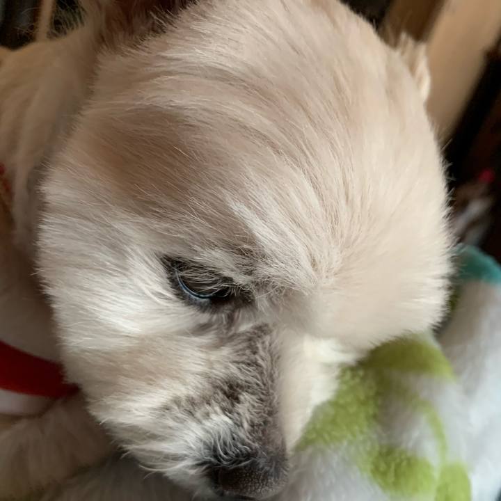 E835544a 49db 471d b587 11d3a0a899be 1617605730821