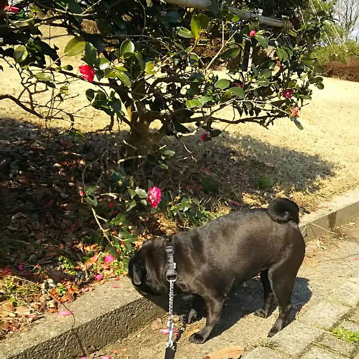 E83556de bb51 4c5f 88a3 b04311614dbc 1551546668627