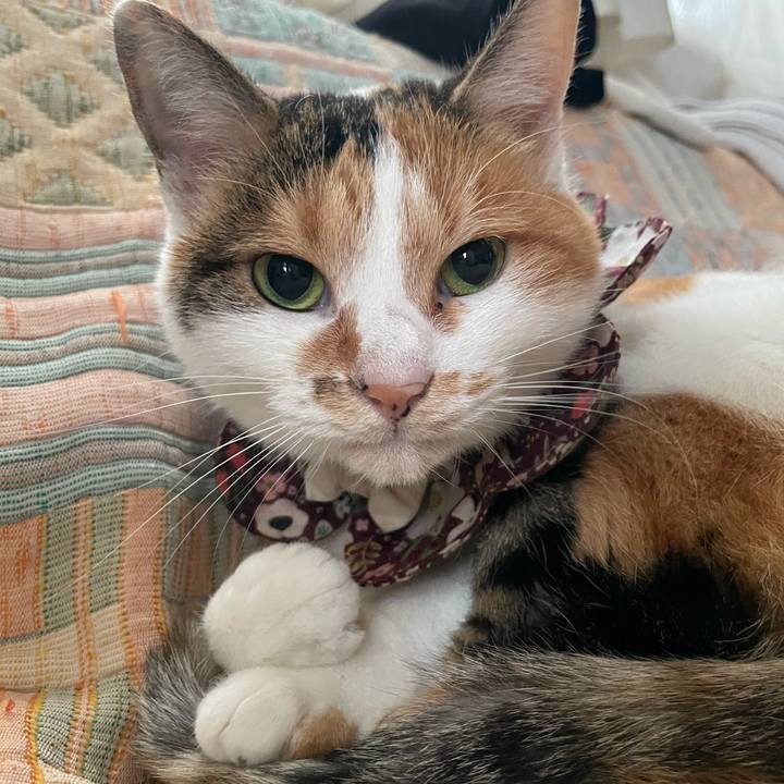 E8356642 a527 4b3e b604 7024f3f61ecf 1760571044558