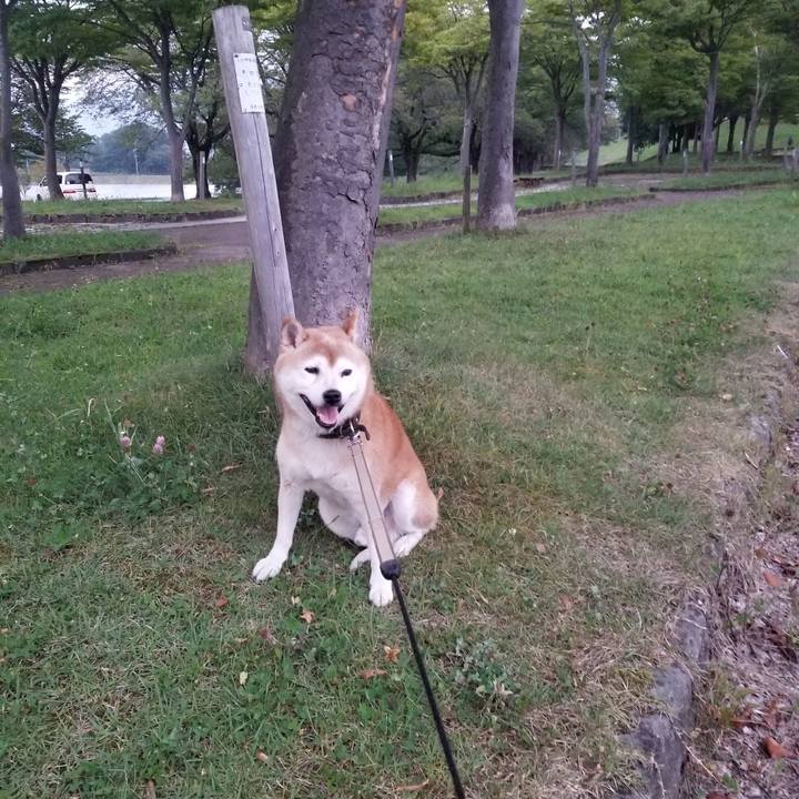 E8356f57 47d5 4762 a618 de760a39298e 1663318725121