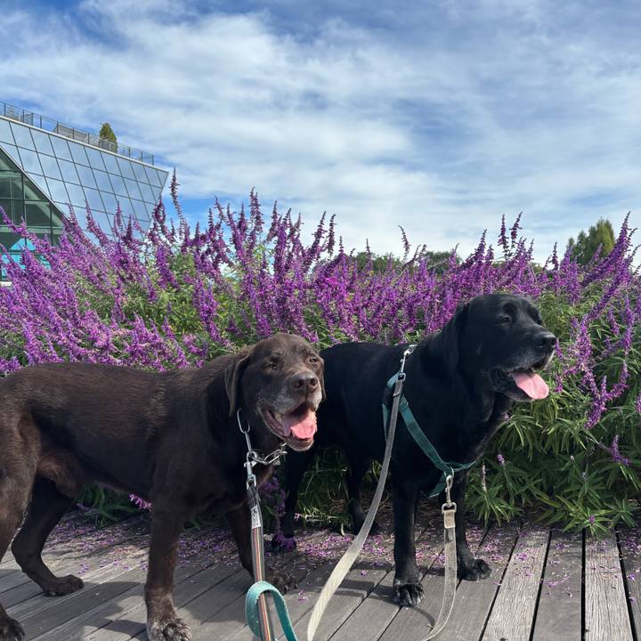 E8357391 4adb 4650 b512 3abc3e0fd7c0 1760358882748