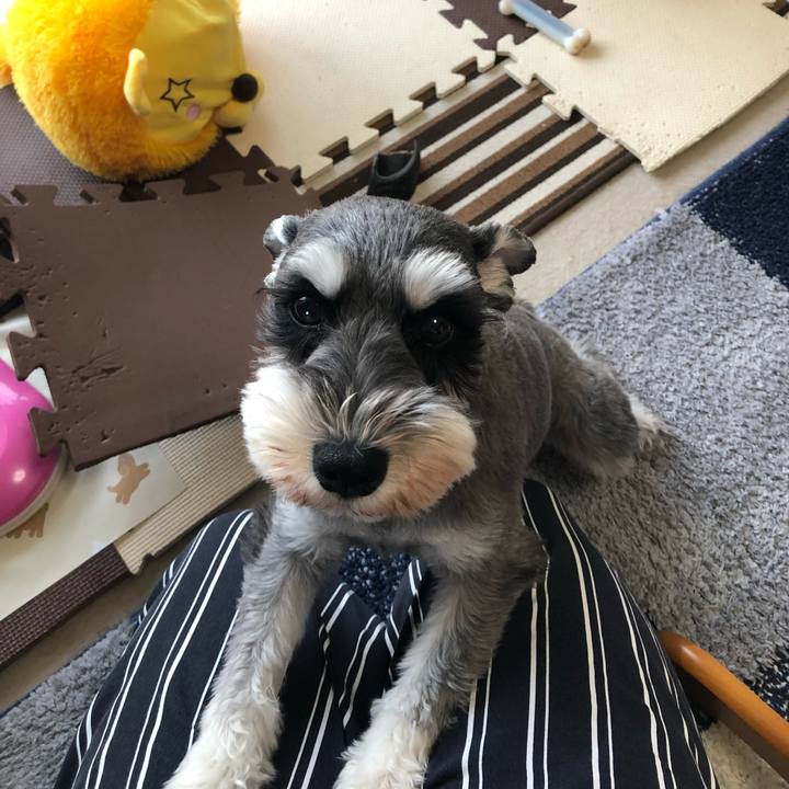 E8357fb9 23a6 41ad b4de 2271c5cae841 1565948714986