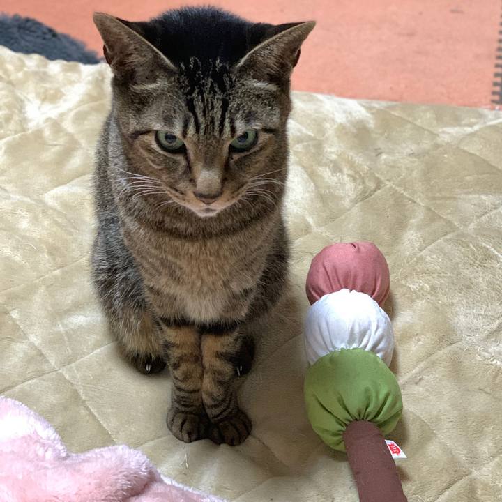 E8359cf9 15fd 43a3 b813 a2708a012d91 1582680238237