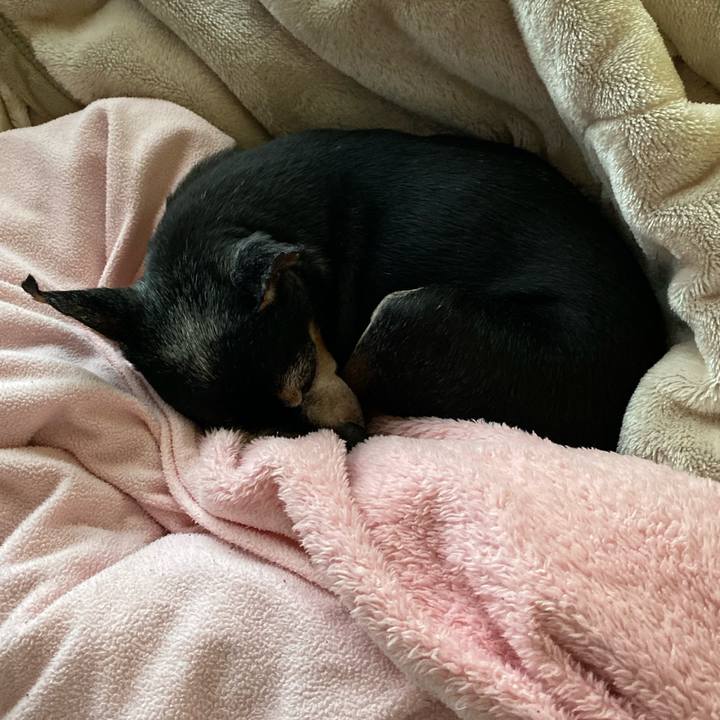 E835a42e f6b0 45b6 8e4d a2dea858d66d 1576278730890