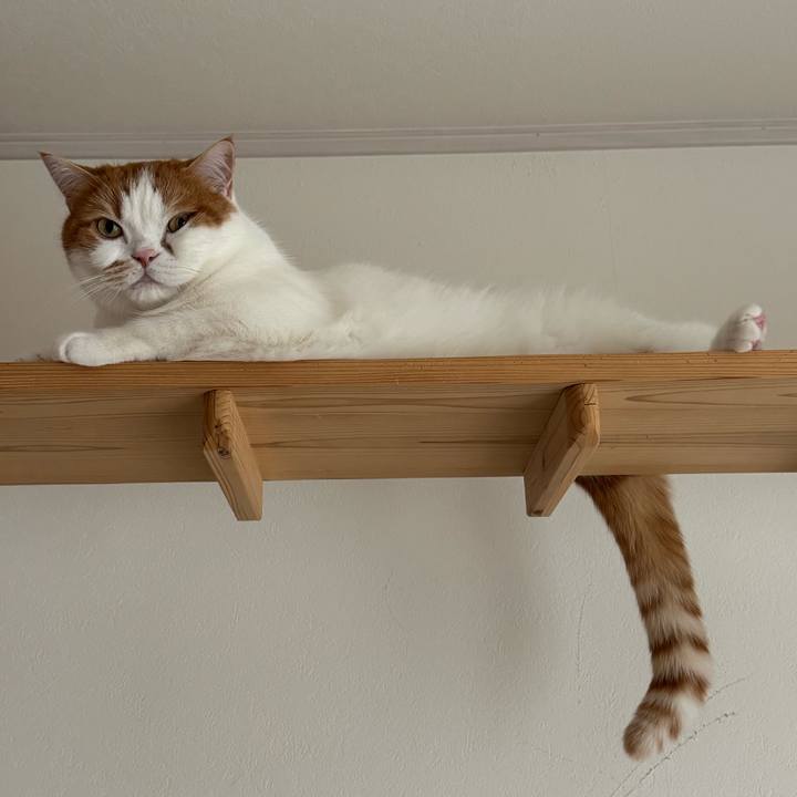 E835a56d 6f8a 4dfe 8c6f 70147f769784 1771900744941