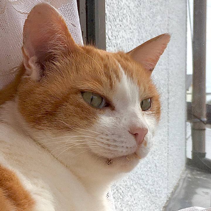 E835b5f8 305b 47c0 a469 e122df620dd3 1584081361154