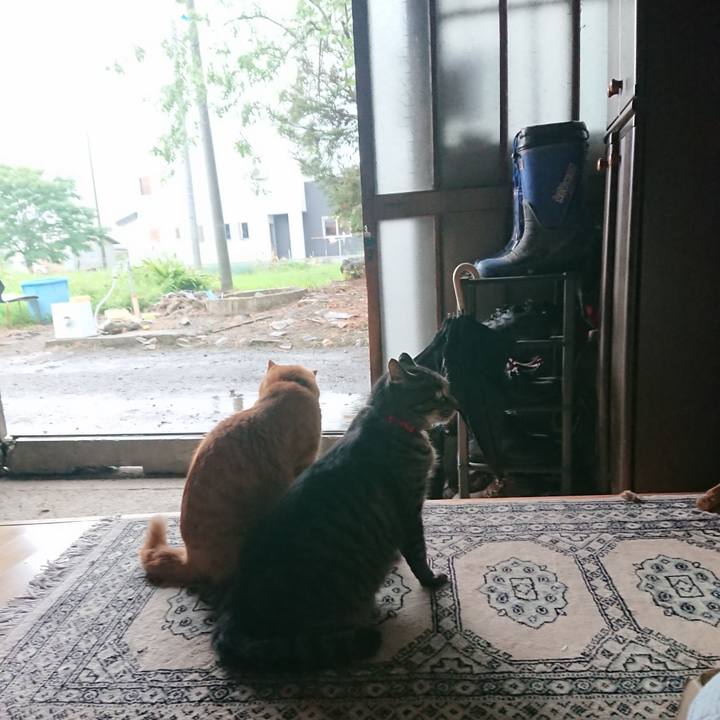 E83715d0 03c9 42a6 8e8e 3e2a62654959 1660466509603