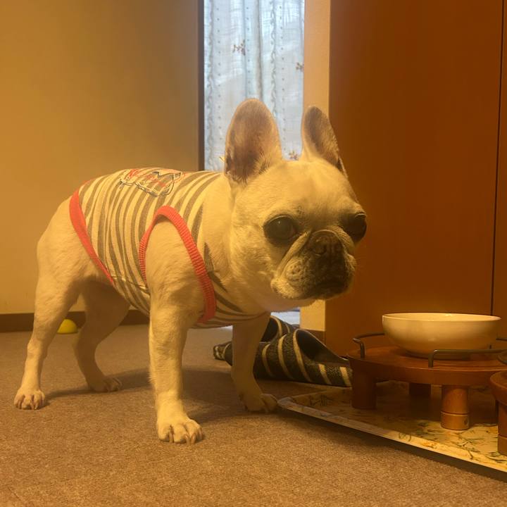 E83759de de2e 403e 8247 56386bae1edf 1742984451738