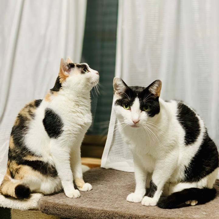 E8378347 ee0c 40e0 9f04 d4b06937b89f 1604798530899