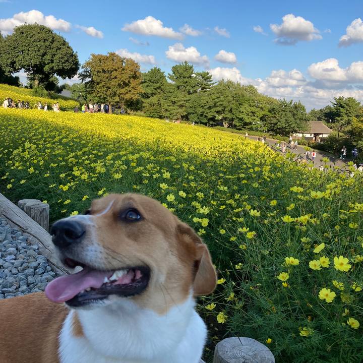 E837ad15 2da8 4330 8f48 97da9dca5345 1633913757047