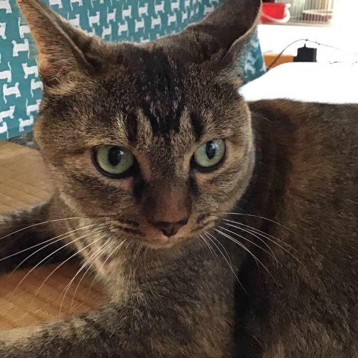 E838014e 1262 4db4 be67 e2fda0a6433b 1756607393077