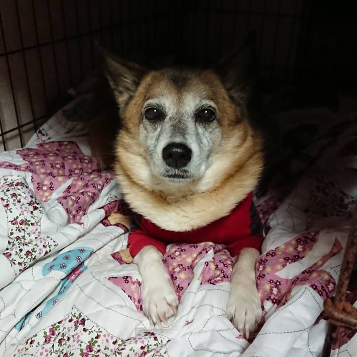 E8382686 5a2c 4d9c 8c4e 0e8386db11cc 1607356712092