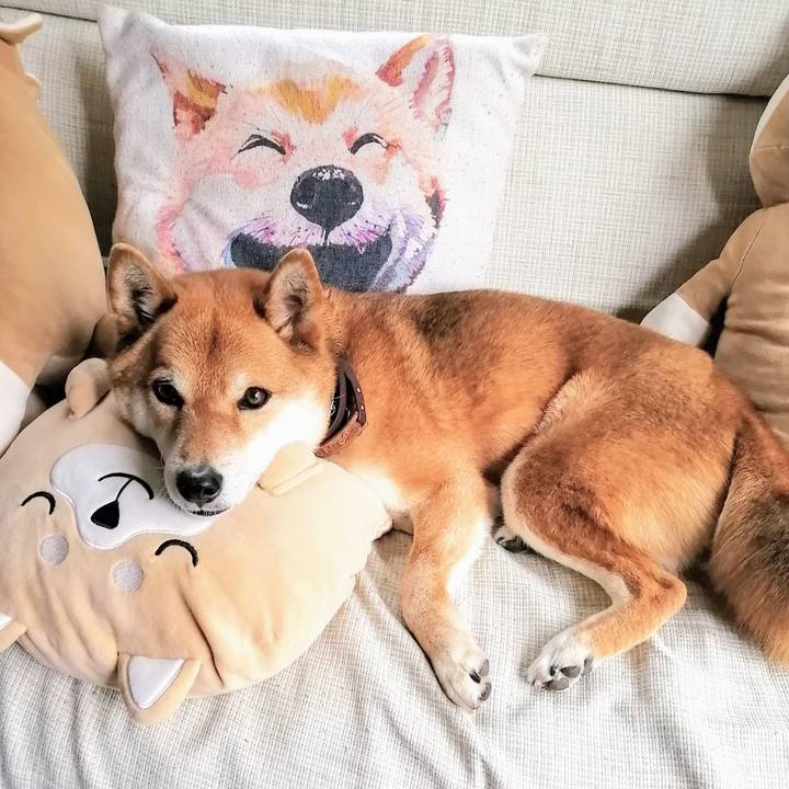 E83833d2 c915 4c87 bf9f 6d8fe568f784 1586248331054