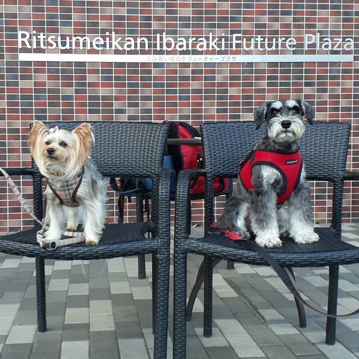 E83853da 25bd 412d aee7 6035a2f47221 1634200411962