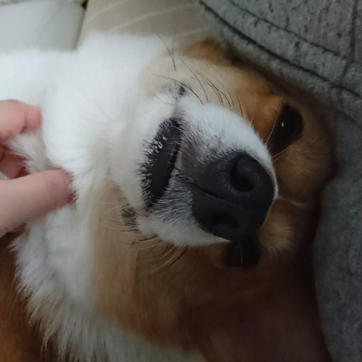 E8385747 0862 497a 90ff 4d6af150805b 1512795659529