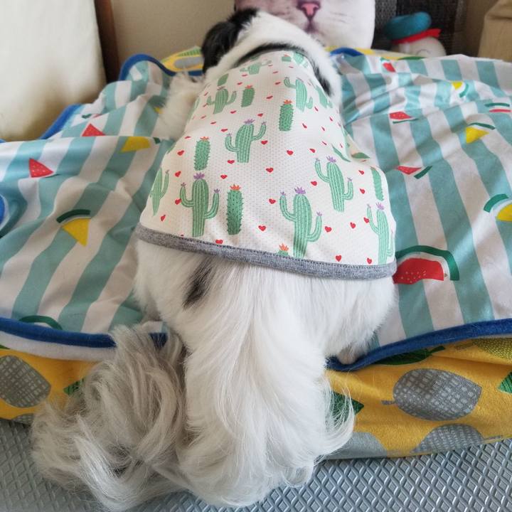 E8388251 43cb 4f98 a6f0 e84d844d6275 1626952685183