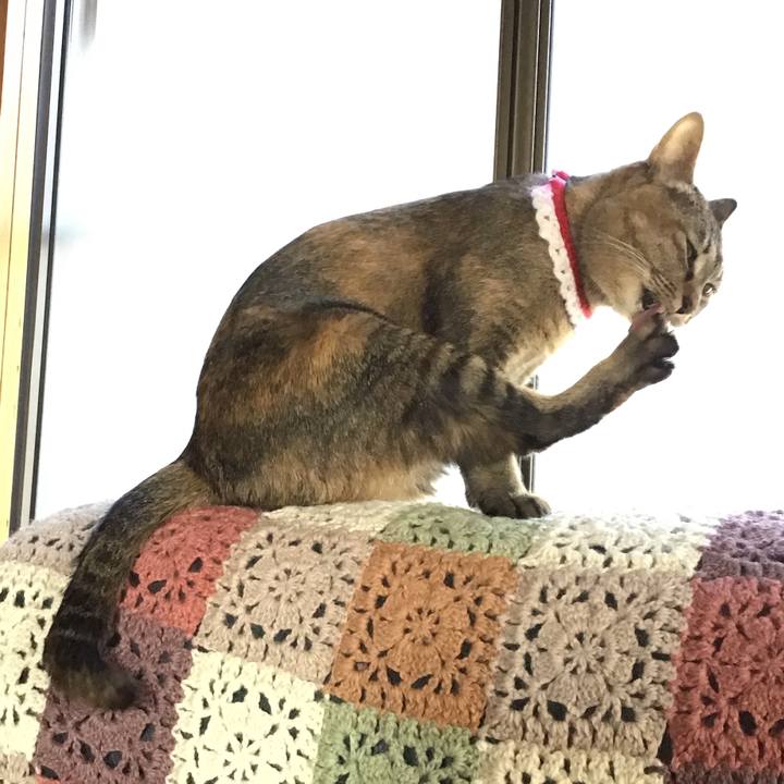 E838b294 95be 4318 9896 f3dc89e7cc83 1610174584882