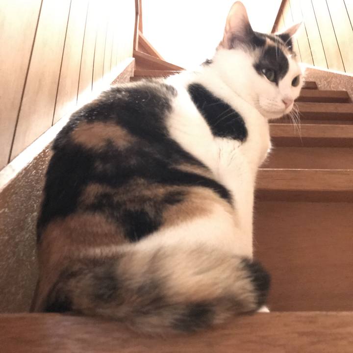 E838ba7b cfe4 44df 92c9 87eae4c98184 1528077140660