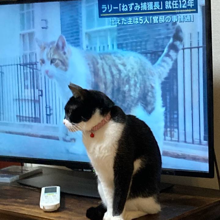 E838c2bc f2cc 4e90 9a51 2b929d7511dd 1676468041683