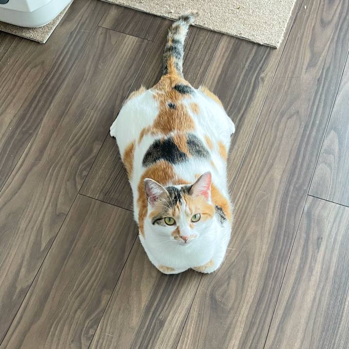 E838cc6a f099 44b0 8c0f 15712ce67e0d 1618038002091