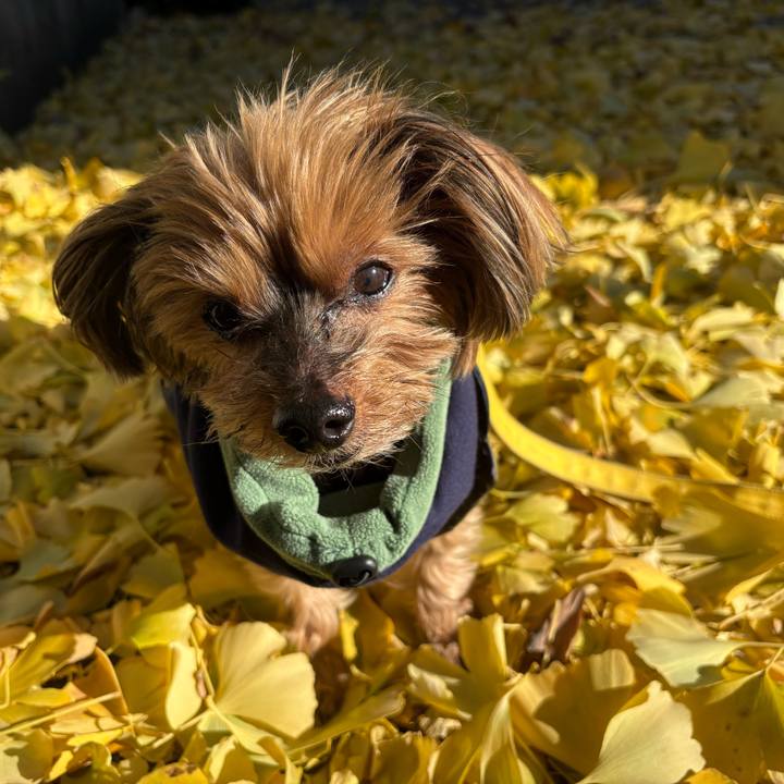 E838e5b4 dcdf 49f5 9be0 5d31cafa7a0a 1734761006382