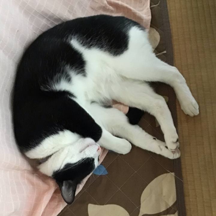 E83908dd 1a2c 43be a8c0 b8ad5d9b52ce 1651137820855