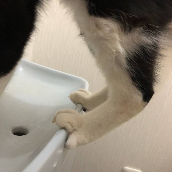 E8396724 dfe9 4266 ae74 cee7e9466fc0 1559305725729