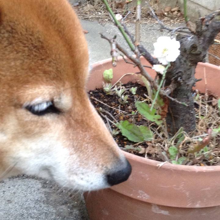 E8396734 1980 45d6 b6b9 c58b06f73c4b 1520326894478