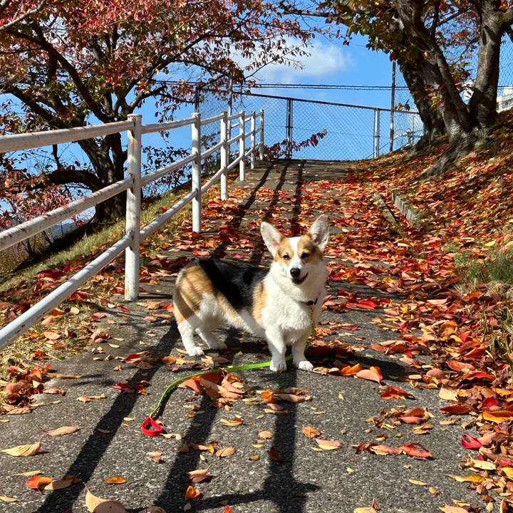 E8399546 ce3d 48d6 90f1 b47abbc82c44 1762756503792