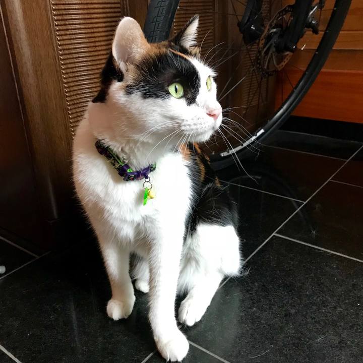 E83a2fad 4562 407c a667 02be42f46b86 1535607555950