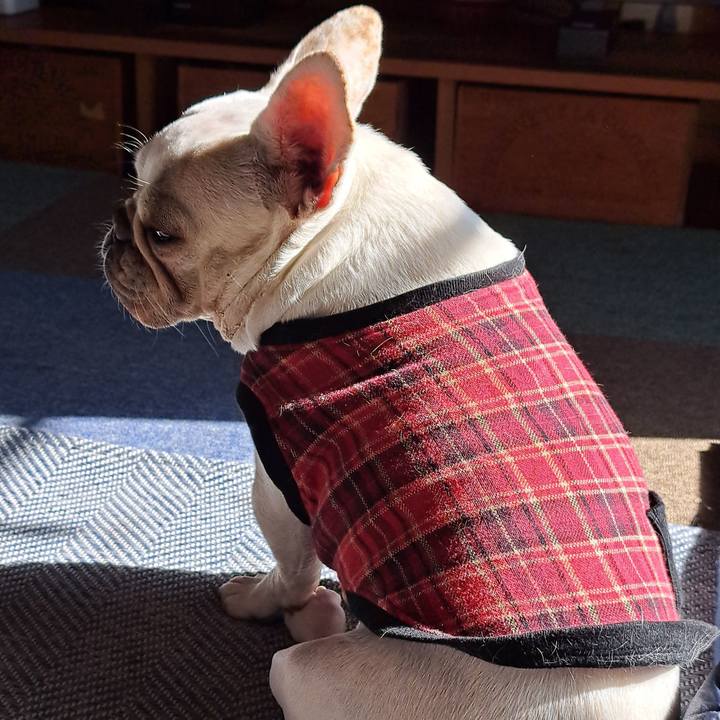 E83a482e 34bb 48ce 805a b88b542fc882 1700363421957