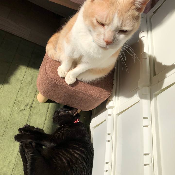 E83a6750 fec8 48d9 8036 dad71642014e 1622155148040