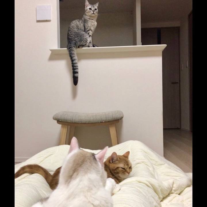 E83a6d21 2de5 4178 a841 ec984a2c416e 1526479870573